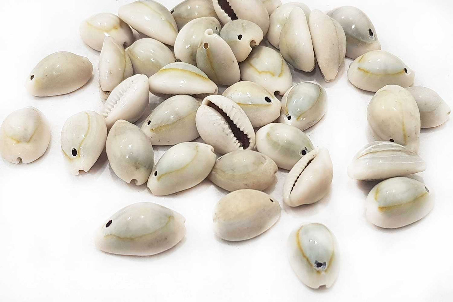 Mohan Shoppe Natural Single Drilled Hole Natural Cowrie Kauri Shell Beads for Adornment Beads/Jewlery Making, Package of 100 Gram