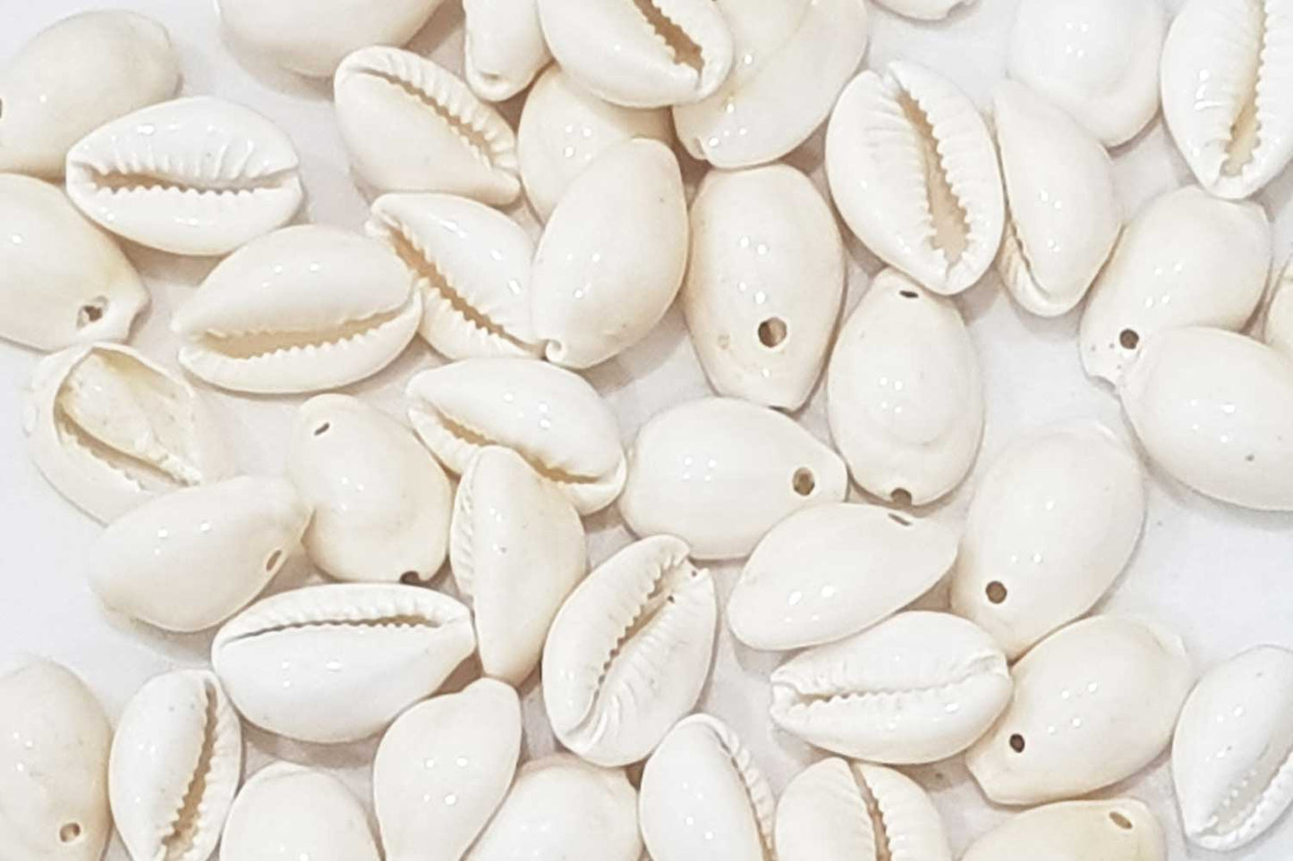 Mohan Shoppe Natural Single Drilled Hole Natural Cowrie Kauri Shell Beads for Adornment Beads/Jewlery Making, Package of 100 Gram