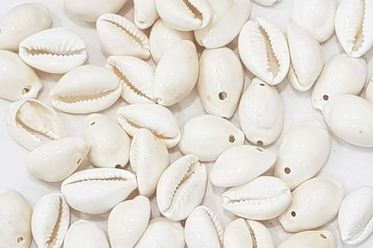 Mohan Shoppe Natural Single Drilled Hole Natural Cowrie Kauri Shell Beads for Adornment Beads/Jewlery Making, Package of 100 Gram