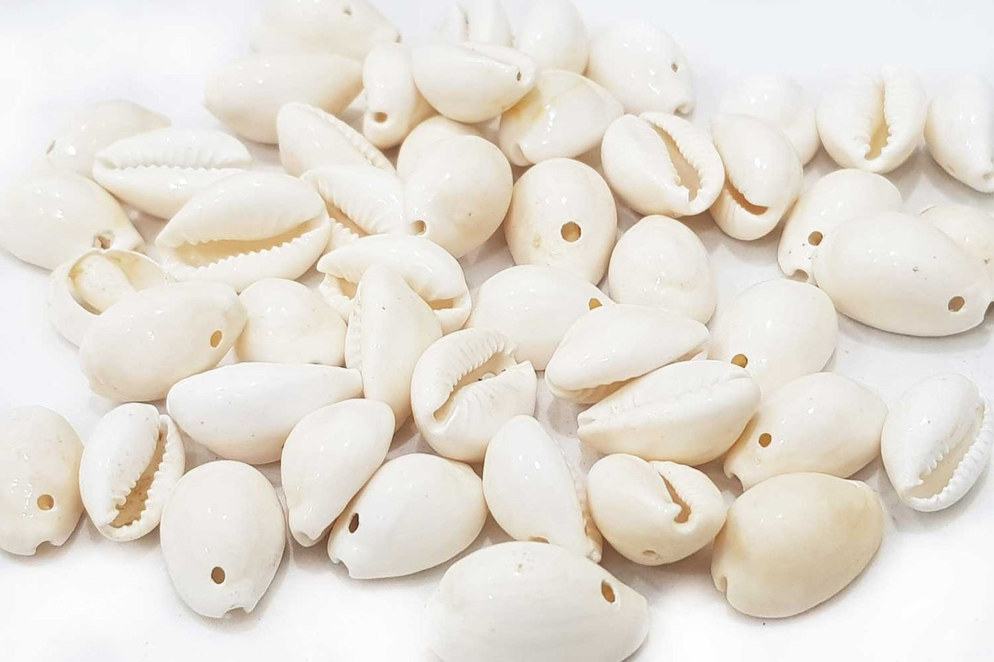 Mohan Shoppe Natural Single Drilled Hole Natural Cowrie Kauri Shell Beads for Adornment Beads/Jewlery Making, Package of 100 Gram