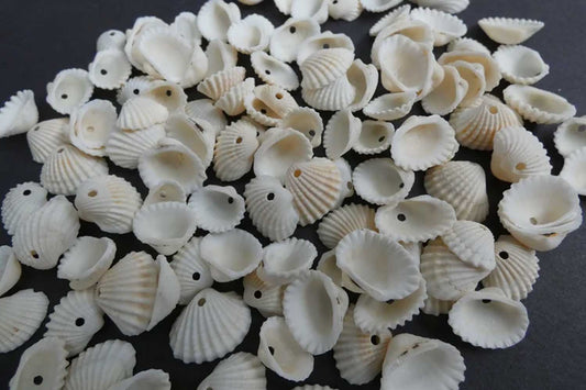Mohan Shoppe Natural Single Drilled Hole Natural Cowrie Kauri Shell Beads for Adornment Beads/Jewlery Making, Package of 100 Gram