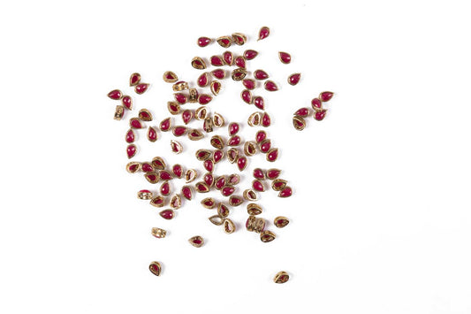 Mohan Shoppe Plastic Stones for Embroidery Work Ladies Suits, Dresses, Blouses, Gowns, Beading, Art and Craft and Decoration, Package of 50 grams