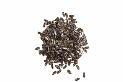 Mohan Shoppe Plastic Sequins for Suits, Dresses, Sarees, Craft Material, Decoration etc. (Package of 50 Grams)