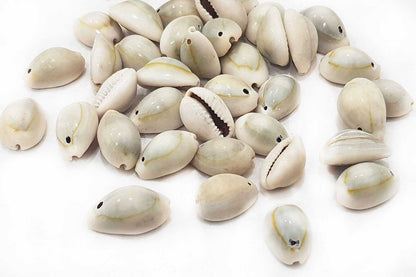 Mohan Shoppe Natural Single Drilled Hole Natural Cowrie Kauri Shell Beads for Adornment Beads/Jewlery Making, Package of 100 Gram